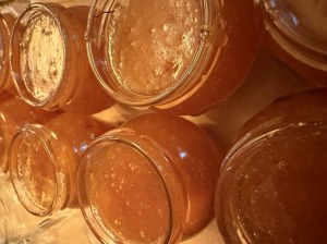 Confiture d'abricot du jardin au safran